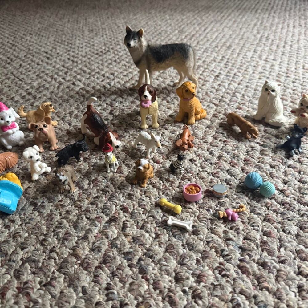 Barbie Multi Dolls-accessories
